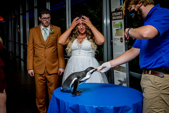 RANDSOM-WEDDING-POST-CEREMONY- (66)