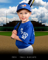 TBALL BLUEJAYS