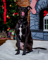 Alyssa-and-Avery-Xmas-2020- (2)