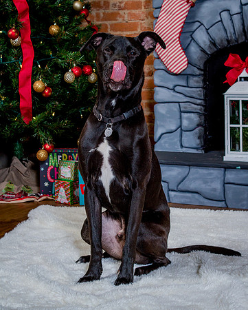 Alyssa-and-Avery-Xmas-2020- (2)