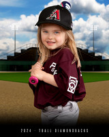 TBALL DIAMONDBACKS