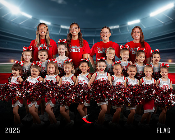 TEAM-8X10-COV-CHEER-FLAG-2025