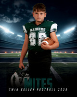 MITES