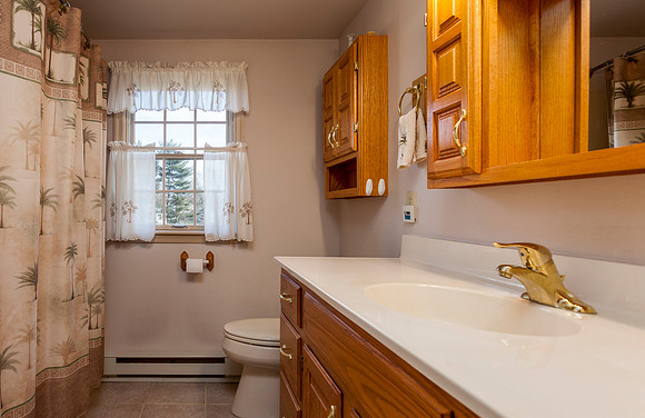 878-SPRUCE-LANE-HARLEYSVILLE- (45)