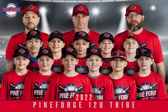 TEAM-4X6-12U-TRIBE-PINEFORGE-2022
