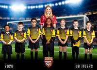 U8 TIGERS