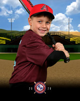 BB - INSTRUCTIONAL DIAMONDBACKS