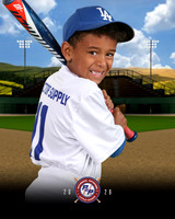 BB - INSTRUCTIONAL DODGERS