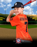 MAJORS TIGERS