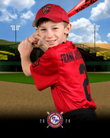 MINORS TIMBER RATTLERS
