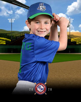 MINORS YARD GOATS