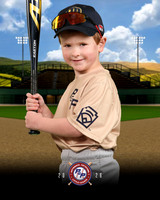 TBALL BREWERS