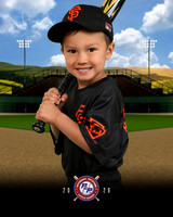 TBALL GIANTS