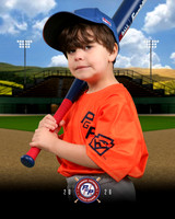 TBALL METS
