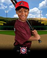 TBALL DIAMONDBACKS