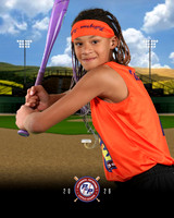 SB - MAJORS CLEMSON