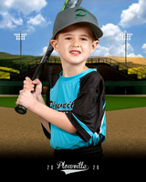 TBALL TEAL