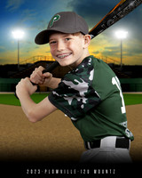 PLOWVILLE 2023