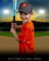 TBALL ORANGE