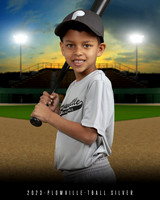 TBALL SILVER