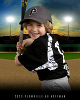 8U BB HOFFMAN