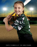 PLOWVILLE SOFTBALL 2023