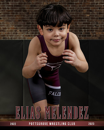 MELENDEZ-ELIAS-PGWC-2023