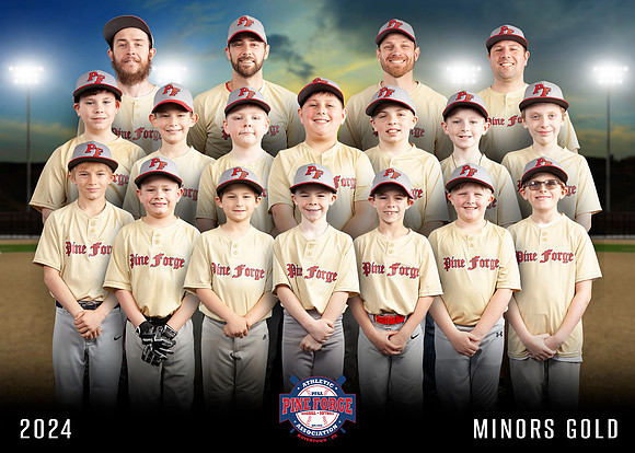TEAM-5X7-MINORS-GOLD-PF2024