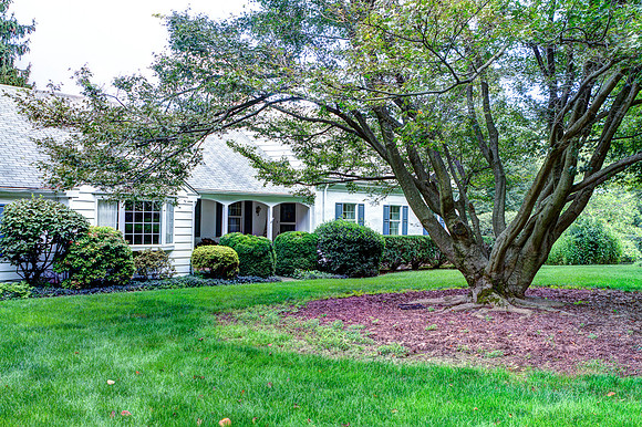 2289-Beaver-Hill-  (5)
