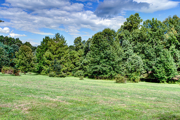 2289-Beaver-Hill-  (13)