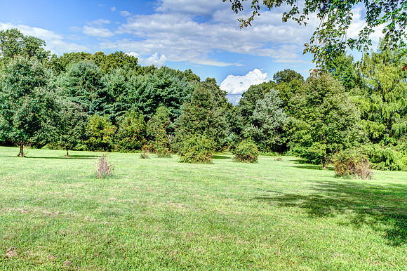 2289-Beaver-Hill-  (15)