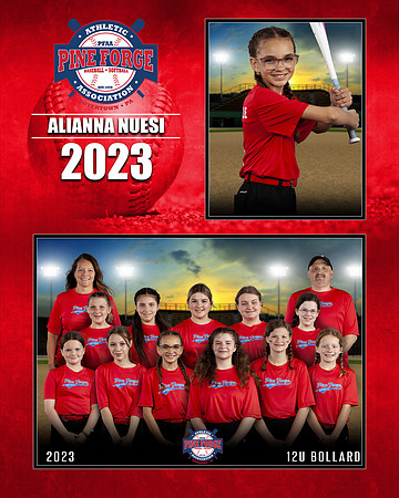 NUESI-ALIANNA-MM-PFAA-12U-BOLLARD-2023