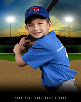ROOKIE CUBS
