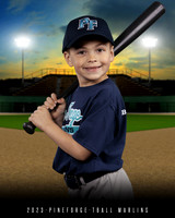TBALL MARLINS