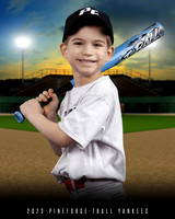 TBALL YANKEES