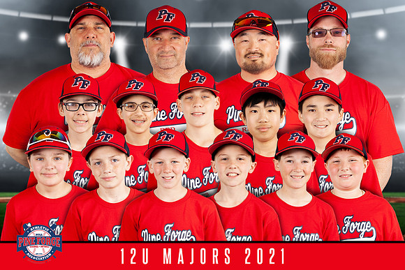 TEAM-4X6-12U-MAJORS-RED-PINEFORGE-2021