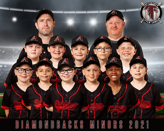 TEAM-8X10-DIAMONDBACKS-MINORS-2021