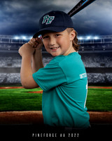 Rookies Rays