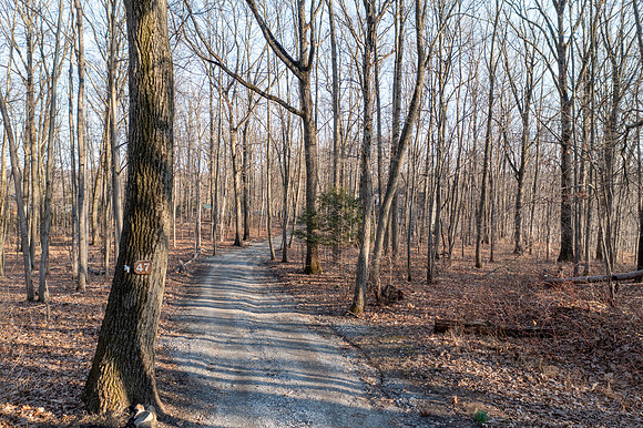 47-MAPLE-LANE-COATESVILLE-  (16)