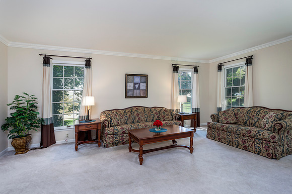 276-SPRING-RUN-LN-DOWNINGTOWN- (19)