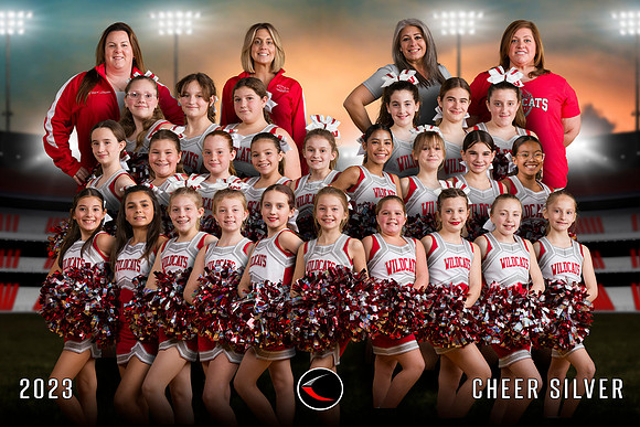 TEAM-4X6-COV-CHEER-SILVER-2023
