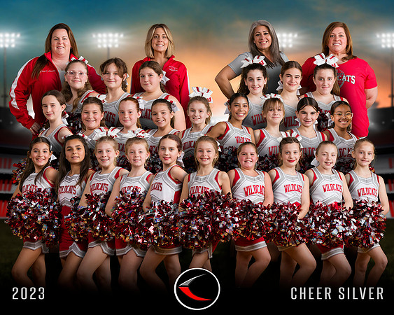 TEAM-8X10-COV-CHEER-SILVER-2023