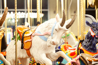 CAROUSEL-50TH-ROB- (2)