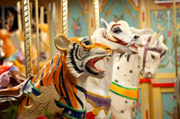 CAROUSEL-50TH-ROB- (1)