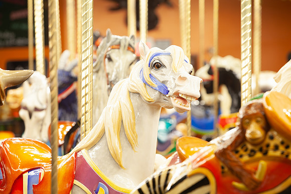 CAROUSEL-50TH-ROB- (3)