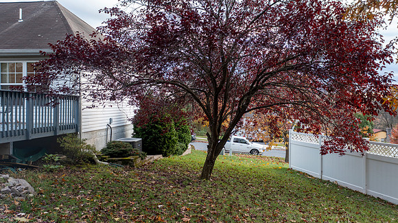 1691-BAHR-RD-POTTSTOWN- (15)