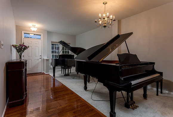 96-N-SAVANNA-DR-POTTSTOWN- (11)