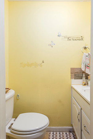 419-MAPLE-GLEN-CIRCLE-POTTSTOWN- (17)