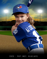 Instructional Blue Jays
