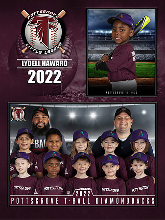 HEYWARD-JR-LYDELL-PLAQUE-TBALL-DIAMONDBACKS-PGLL-2022